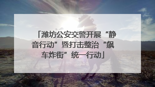 潍坊公安交警开展“静音行动”暨打击整治“飙车炸街”统一行动