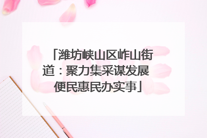 潍坊峡山区岞山街道：聚力集采谋发展 便民惠民办实事