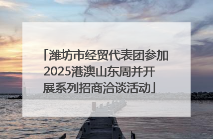 潍坊市经贸代表团参加2025港澳山东周并开展系列招商洽谈活动