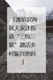 潍坊滨海区大家洼街道“三包三联”激活乡村振兴密码