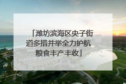 潍坊滨海区央子街道多措并举全力护航粮食丰产丰收
