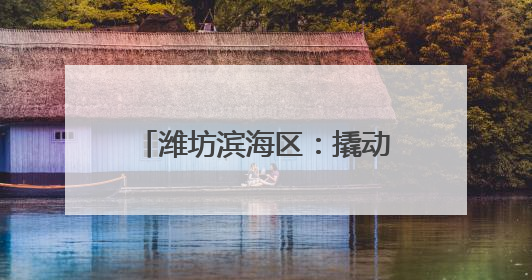 潍坊滨海区：撬动志愿服务力量 助力社会和谐发展