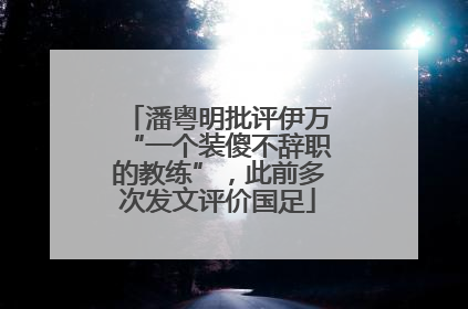 潘粤明批评伊万“一个装傻不辞职的教练”，此前多次发文评价国足