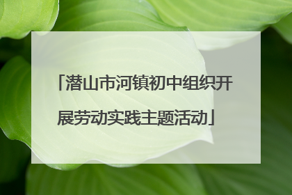 潜山市河镇初中组织开展劳动实践主题活动