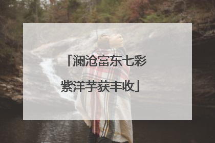 澜沧富东七彩紫洋芋获丰收