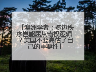 澳洲学者：多边秩序岂能屈从霸权逻辑？美国不要高估了自己的重要性