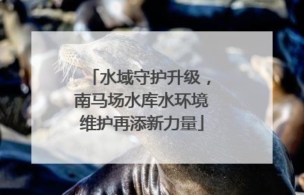 水域守护升级，南马场水库水环境维护再添新力量