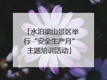 水泊梁山景区举行“安全生产月”主题培训活动