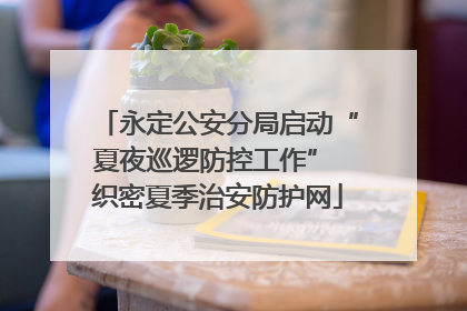 永定公安分局启动“夏夜巡逻防控工作” 织密夏季治安防护网