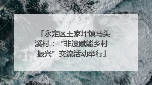 永定区王家坪镇马头溪村：“非遗赋能乡村振兴”交流活动举行