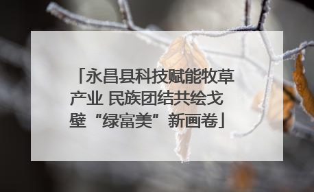 永昌县科技赋能牧草产业 民族团结共绘戈壁“绿富美”新画卷