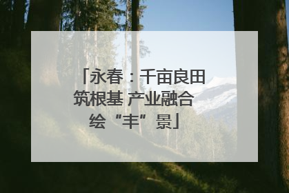 永春：千亩良田筑根基 产业融合绘“丰”景