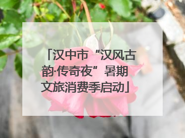 汉中市“汉风古韵·传奇夜”暑期文旅消费季启动