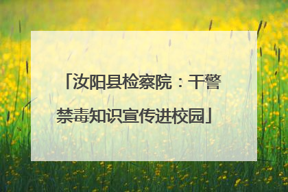 汝阳县检察院：干警禁毒知识宣传进校园