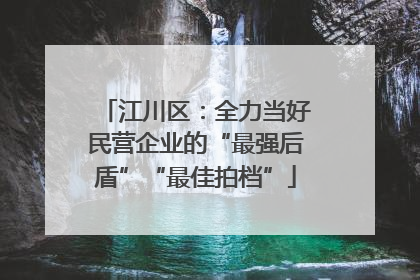 江川区：全力当好民营企业的“最强后盾”“最佳拍档”