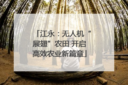 江永：无人机“展翅”农田 开启高效农业新篇章