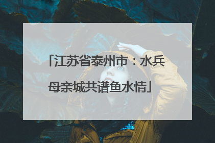江苏省泰州市：水兵母亲城共谱鱼水情