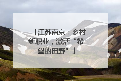 江苏南京：乡村新职业，激活“希望的田野”