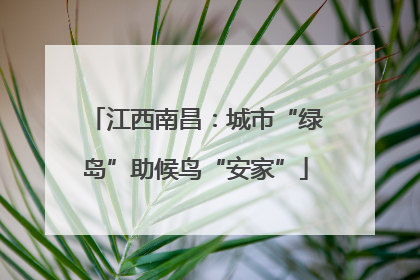 江西南昌：城市“绿岛”助候鸟“安家”