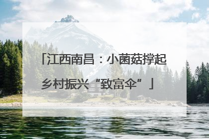 江西南昌：小菌菇撑起乡村振兴“致富伞”