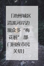 池州城区清溪河岸边现众多“梅花桩” 部门回应市民关切