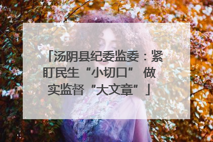 汤阴县纪委监委：紧盯民生“小切口” 做实监督“大文章”