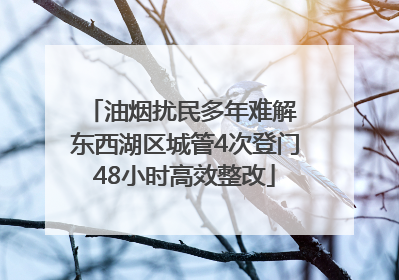 油烟扰民多年难解 东西湖区城管4次登门48小时高效整改