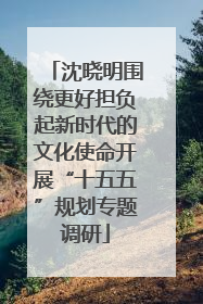 沈晓明围绕更好担负起新时代的文化使命开展“十五五”规划专题调研
