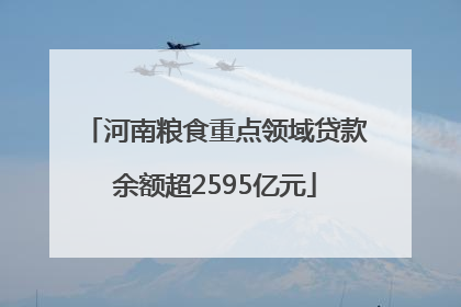 河南粮食重点领域贷款余额超2595亿元