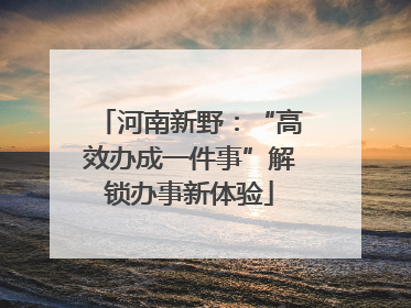 河南新野：“高效办成一件事”解锁办事新体验