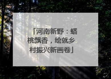 河南新野：蟠桃飘香，绘就乡村振兴新画卷