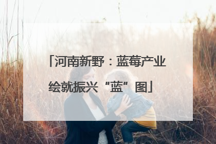 河南新野：蓝莓产业绘就振兴“蓝”图