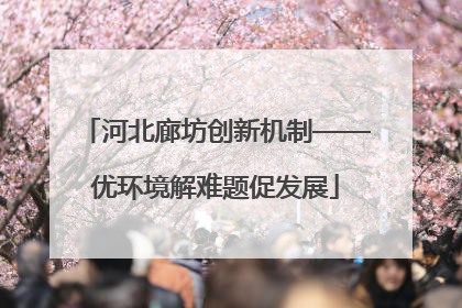 河北廊坊创新机制——优环境解难题促发展
