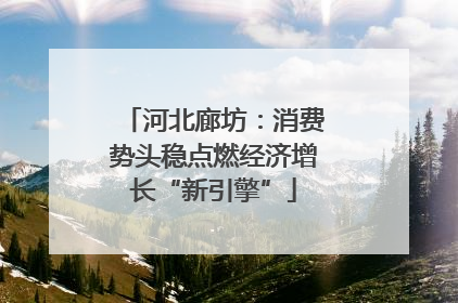 河北廊坊：消费势头稳点燃经济增长“新引擎”