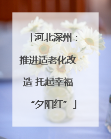 河北深州：推进适老化改造 托起幸福“夕阳红”
