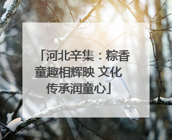 河北辛集：粽香童趣相辉映 文化传承润童心