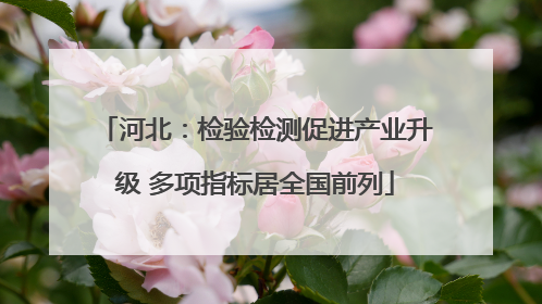 河北：检验检测促进产业升级 多项指标居全国前列