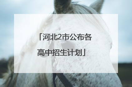 河北2市公布各高中招生计划