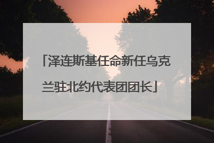 泽连斯基任命新任乌克兰驻北约代表团团长