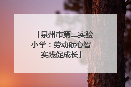 泉州市第二实验小学：劳动砺心智实践促成长