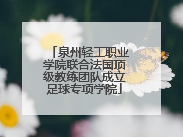 泉州轻工职业学院联合法国顶级教练团队成立足球专项学院