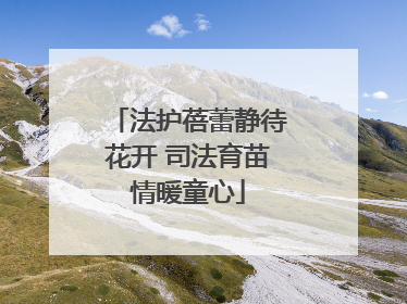 法护蓓蕾静待花开 司法育苗情暖童心