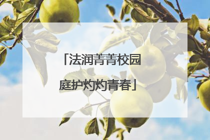 法润菁菁校园 庭护灼灼青春