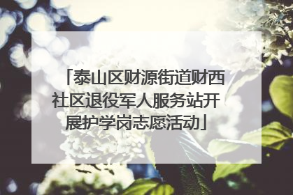泰山区财源街道财西社区退役军人服务站开展护学岗志愿活动