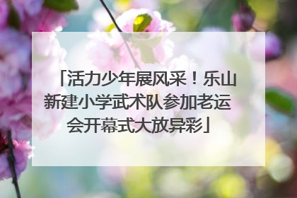 活力少年展风采！乐山新建小学武术队参加老运会开幕式大放异彩