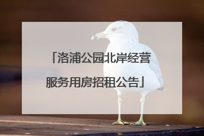 洛浦公园北岸经营服务用房招租公告