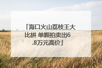 海口火山荔枝王大比拼 单颗拍卖出6.8万元高价