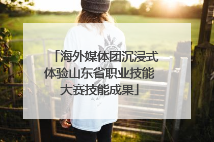 海外媒体团沉浸式体验山东省职业技能大赛技能成果