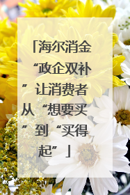 海尔消金“政企双补”让消费者从“想要买”到“买得起”