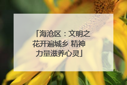 海沧区：文明之花开遍城乡 精神力量滋养心灵